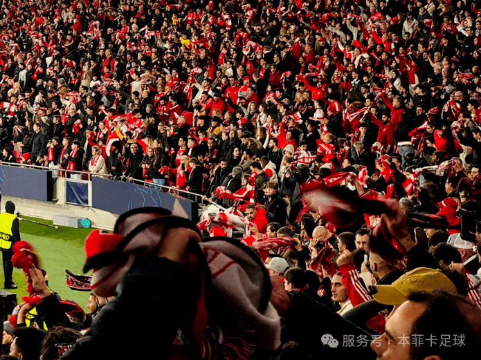 开云-法国杯赛程吃紧，本菲卡集结日迎来里程碑，媒体盛赞，医务组通报恢复的简单介绍-开云